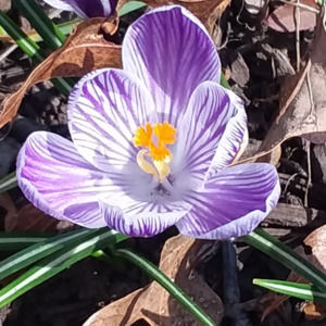 Meet your Posher, Mary